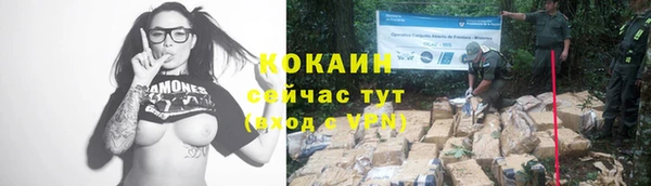 хмурый Богданович