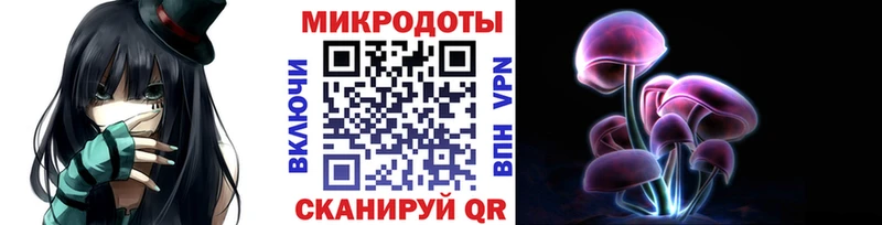 купить  цена  Жуковка  Псилоцибиновые грибы Psilocybine cubensis 